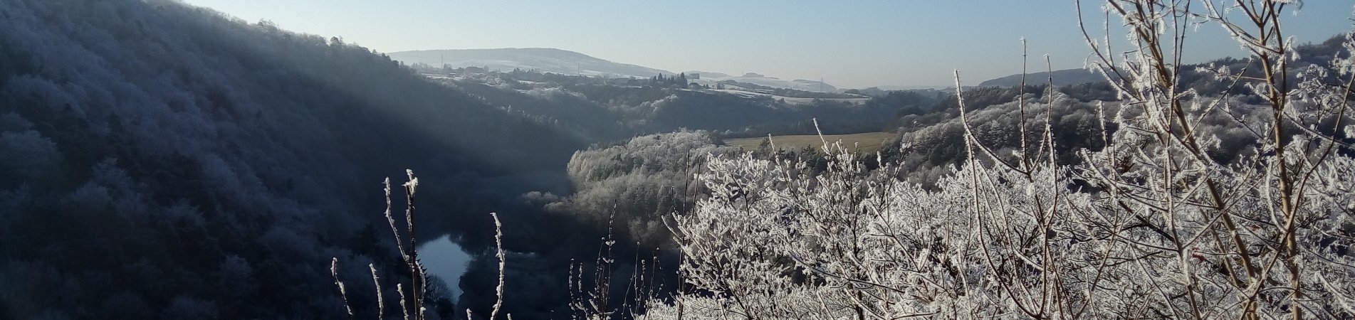 Měnič obrázků - fotografie